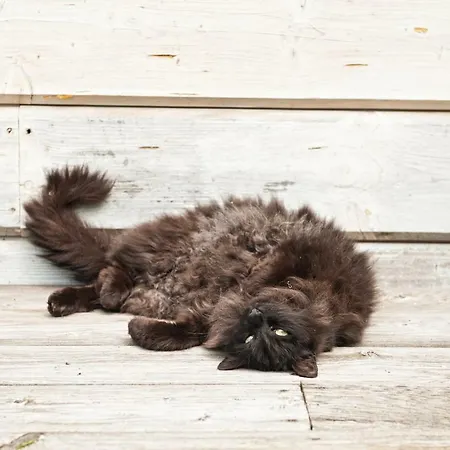 Alojamento de Turismo Rural Potoczek 19 Międzylesie