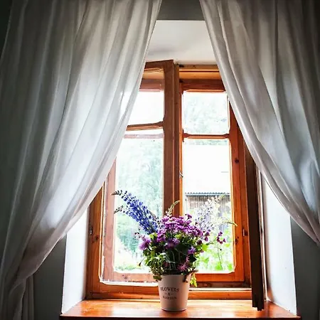 Potoczek 19 * Międzylesie