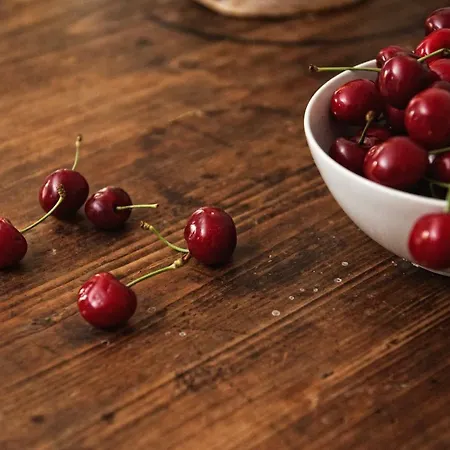 Potoczek 19 Alojamento de Turismo Rural Międzylesie