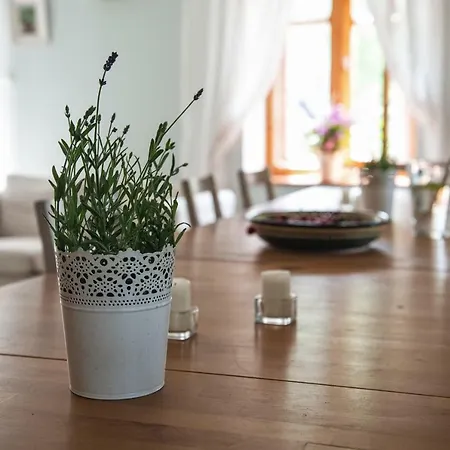 Potoczek 19 Alojamento de Turismo Rural Międzylesie