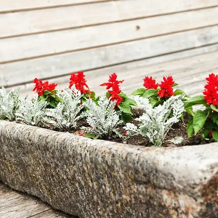 Alojamento de Turismo Rural Potoczek 19 Międzylesie