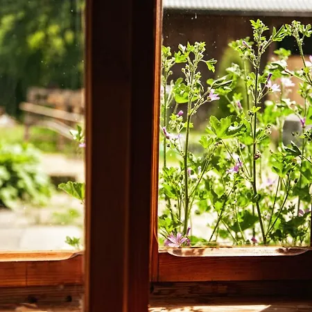 Potoczek 19 Alojamento de Turismo Rural Międzylesie