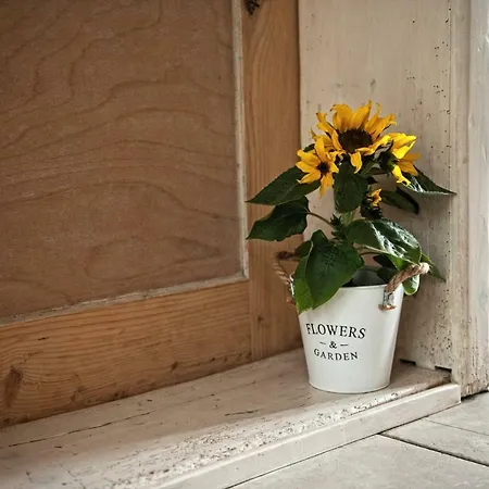 Potoczek 19 Międzylesie