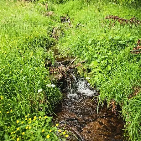 Alojamento de Turismo Rural Potoczek 19 Międzylesie