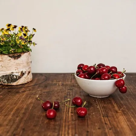 Alojamento de Turismo Rural Potoczek 19 *