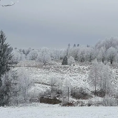 Gospodarstwo agroturystyczne Potoczek 19