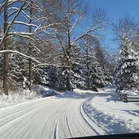 Potoczek 19 Międzylesie