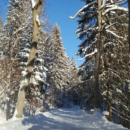 Gospodarstwo agroturystyczne Potoczek 19