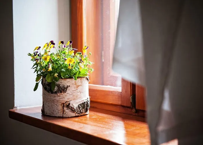 팜스테이 Potoczek 19 미에드지레시