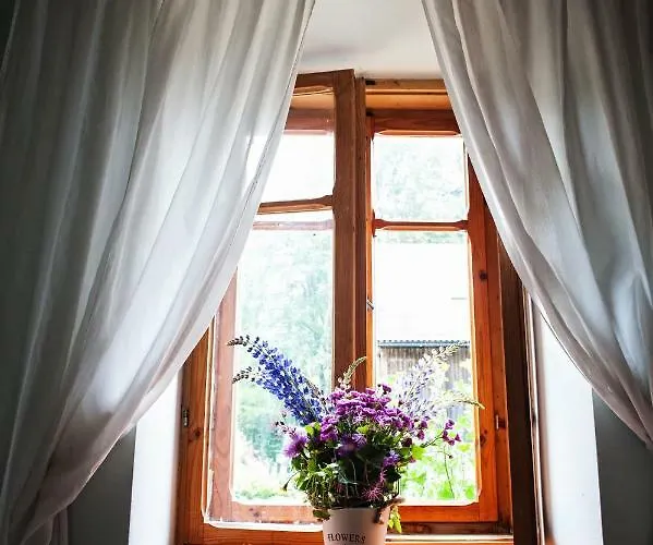 Potoczek 19 * 미에드지레시