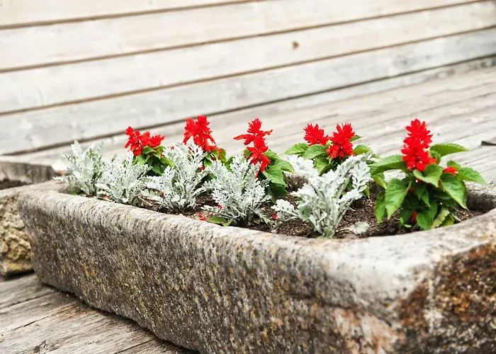 팜스테이 Potoczek 19 미에드지레시