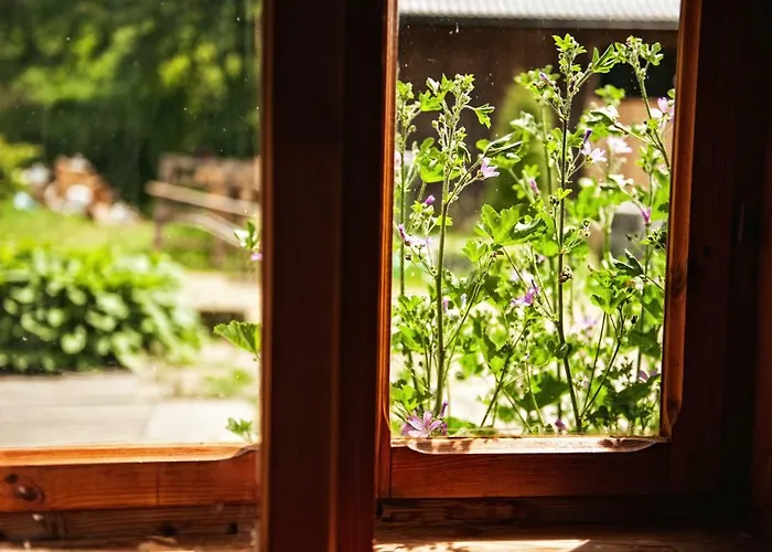 Potoczek 19 팜스테이 미에드지레시