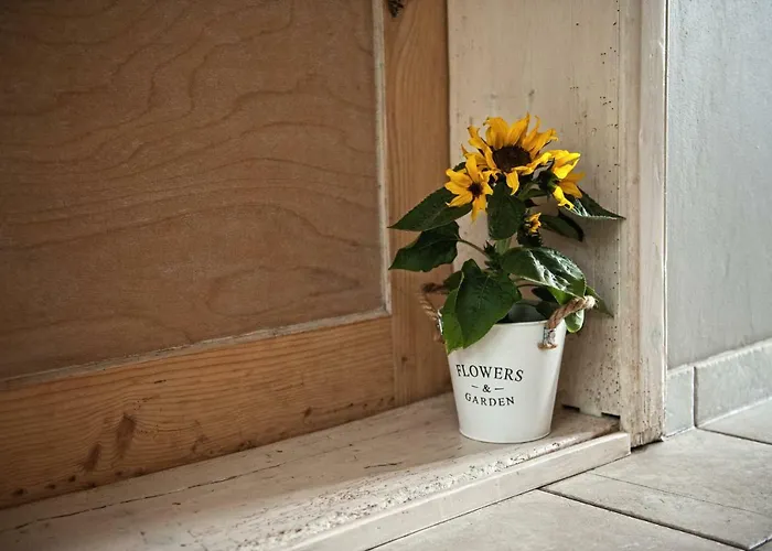 Potoczek 19 미에드지레시