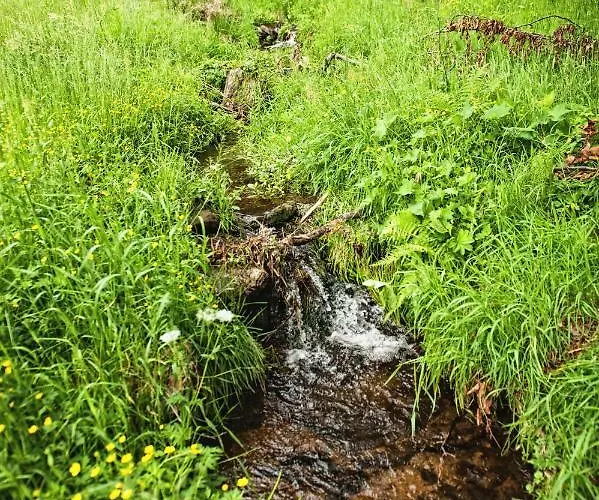 팜스테이 Potoczek 19 미에드지레시