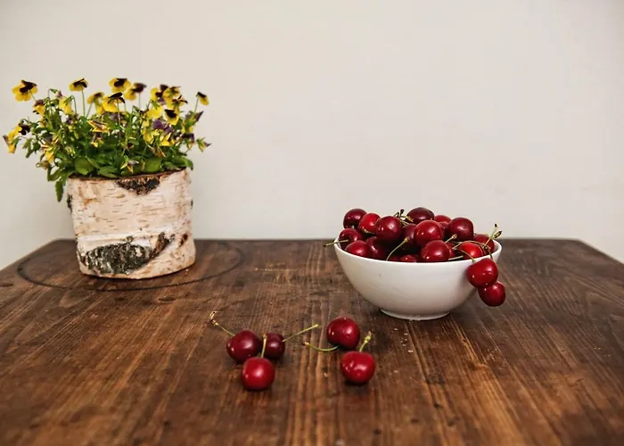 팜스테이 Potoczek 19 *