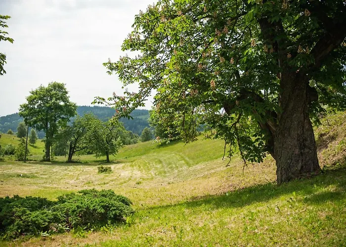 Potoczek 19 팜스테이 *