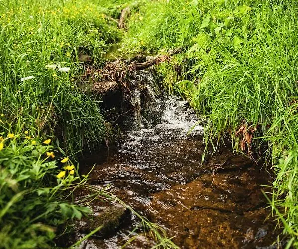 팜스테이 Potoczek 19 *