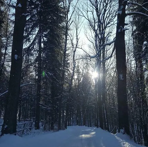 Potoczek 19 미에드지레시