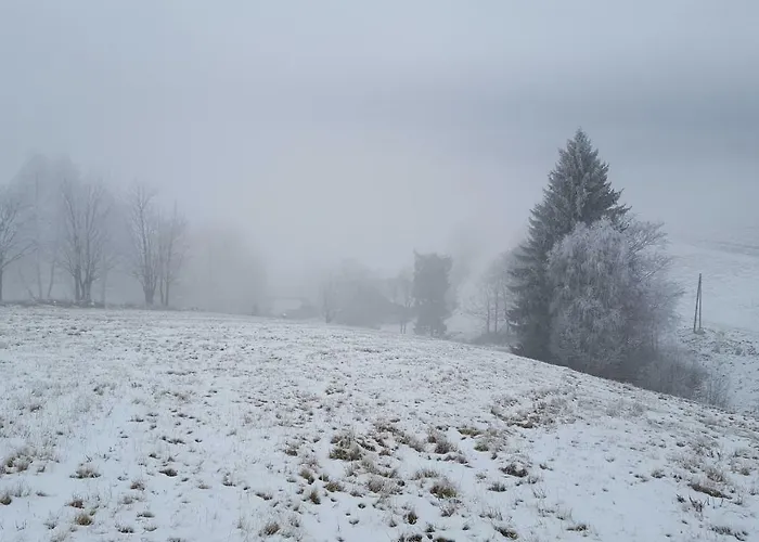 팜스테이 Potoczek 19