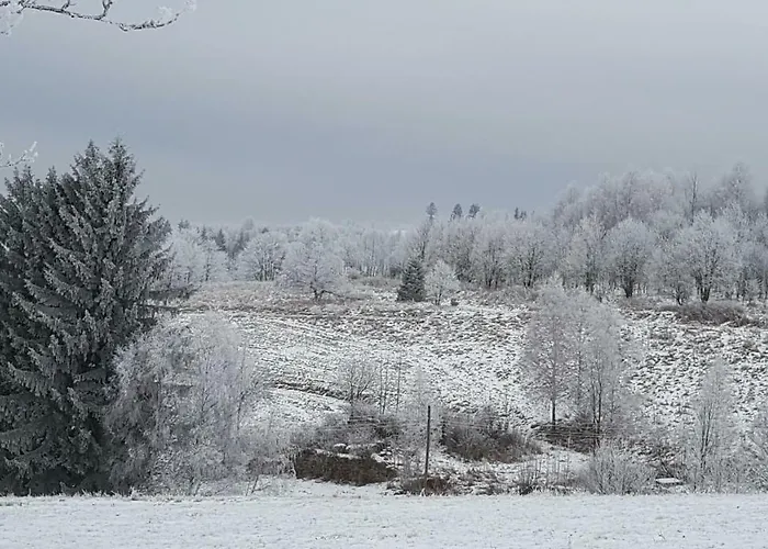 팜스테이 Potoczek 19