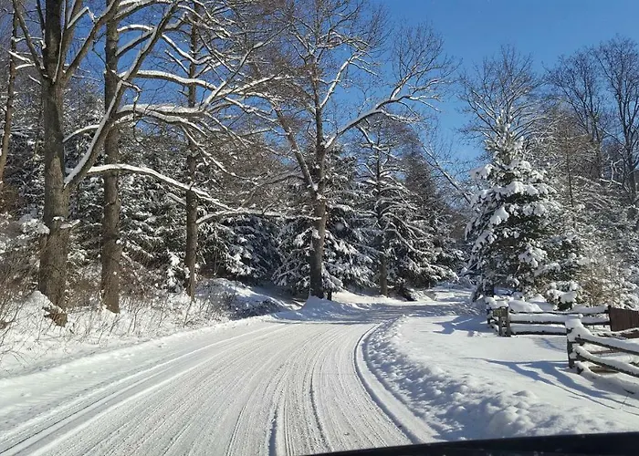 Potoczek 19 미에드지레시