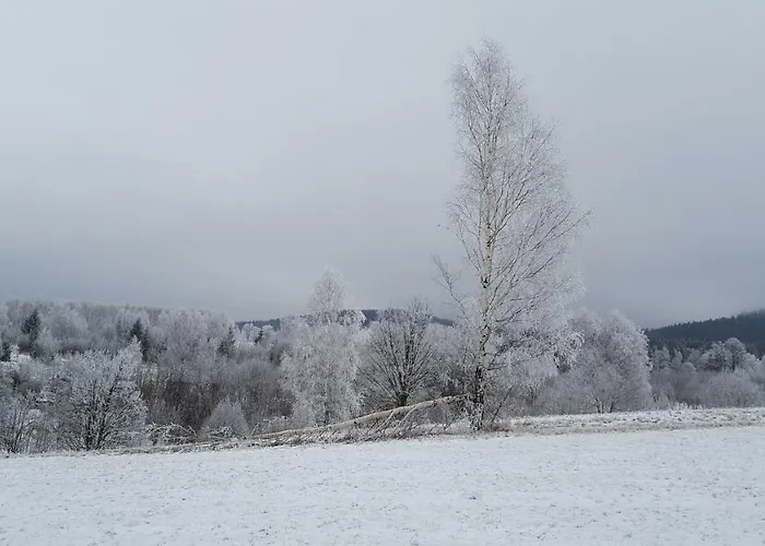 Potoczek 19 * 미에드지레시