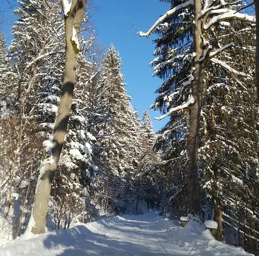 Feriegård Potoczek 19